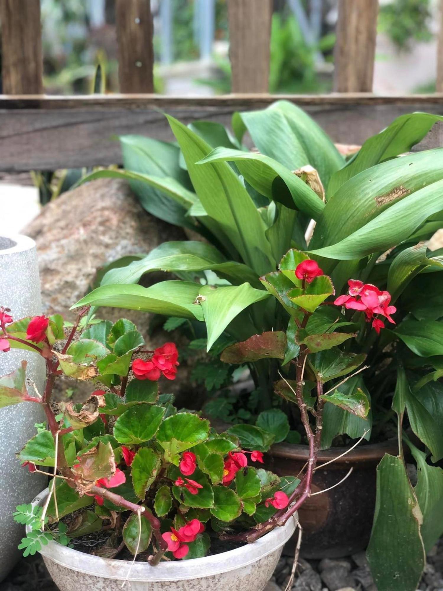 Tran Gia Homestay Nghia Lo ภายนอก รูปภาพ