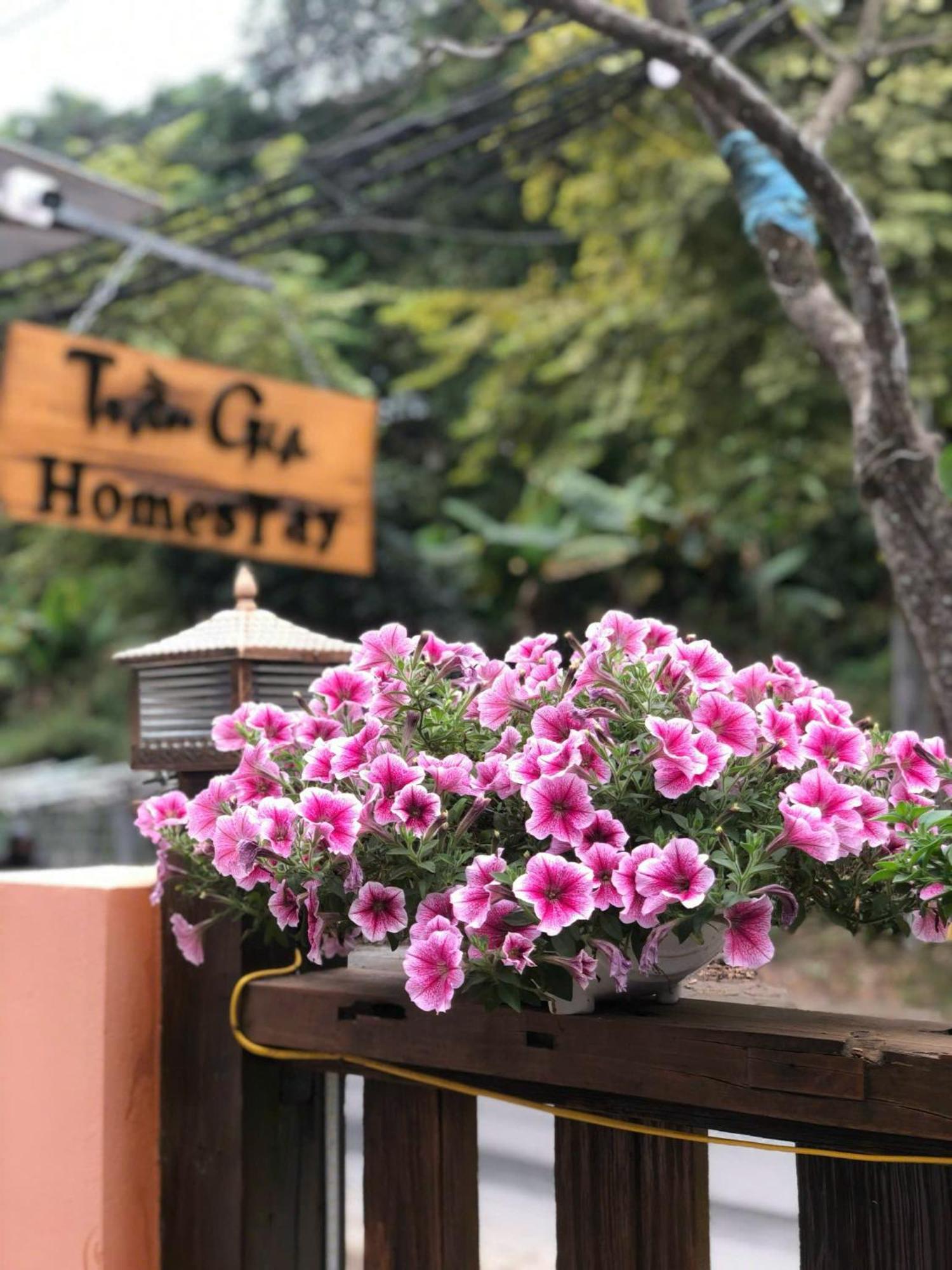 Tran Gia Homestay Nghia Lo ภายนอก รูปภาพ