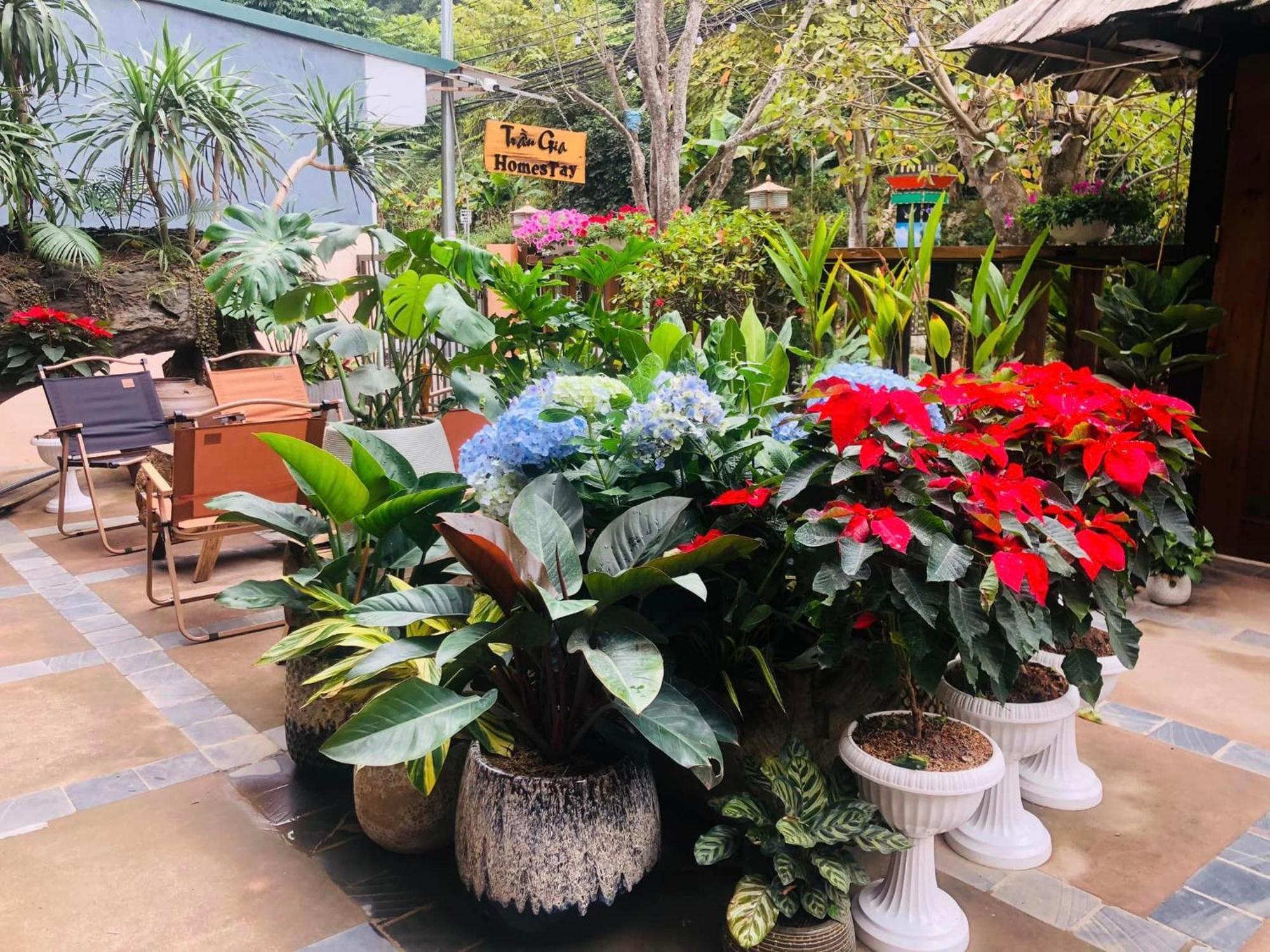 Tran Gia Homestay Nghia Lo ภายนอก รูปภาพ